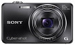 Sony DSC-WX100